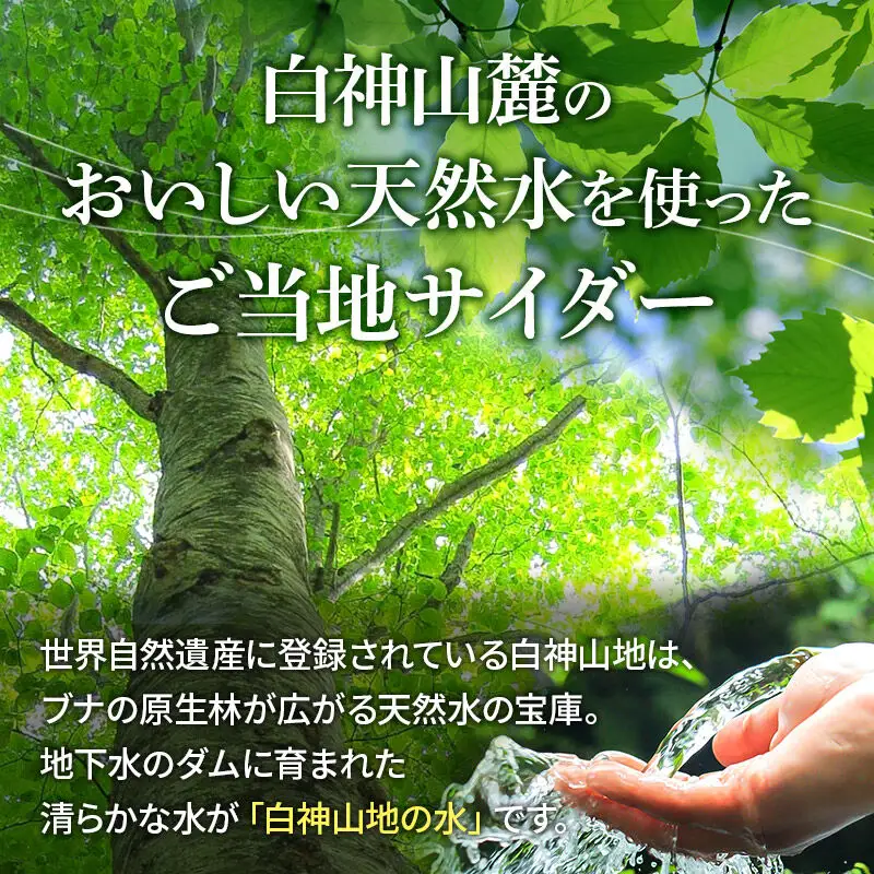 サイダー 白神山麓水使用 はっぽうサイダー 330ml×12本