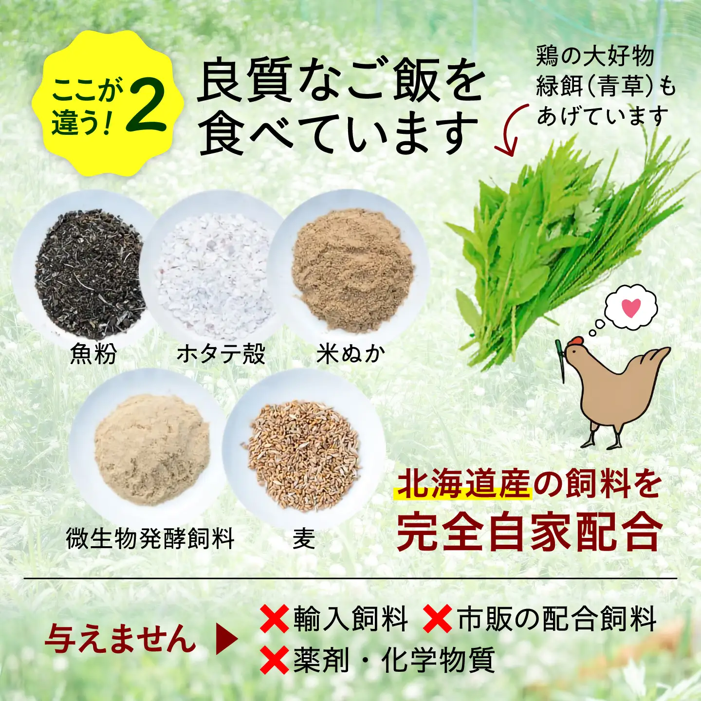 【3ヵ月定期便】平飼い有精卵 50個 計150個 [AXAN001]