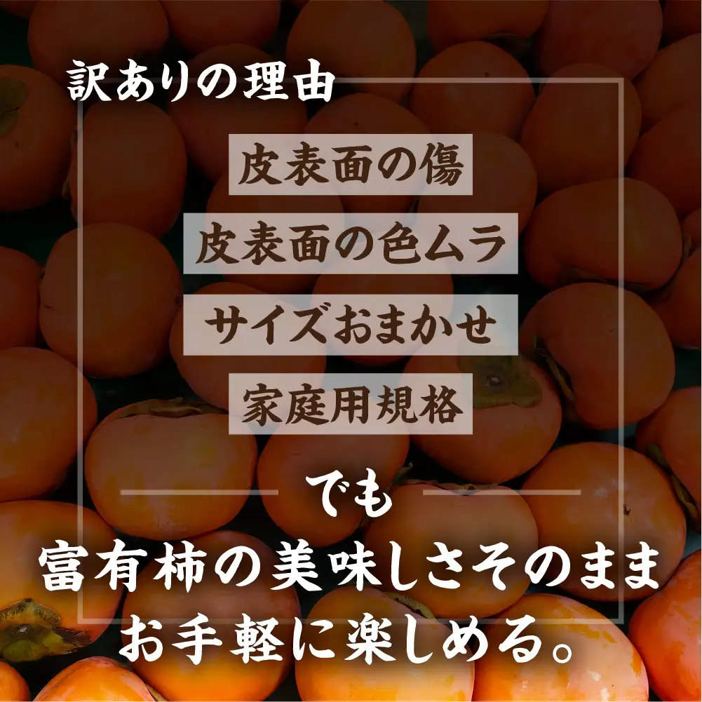 [先行予約]《訳あり》西垣農園 富有柿 約3kg 柿 [mt491]