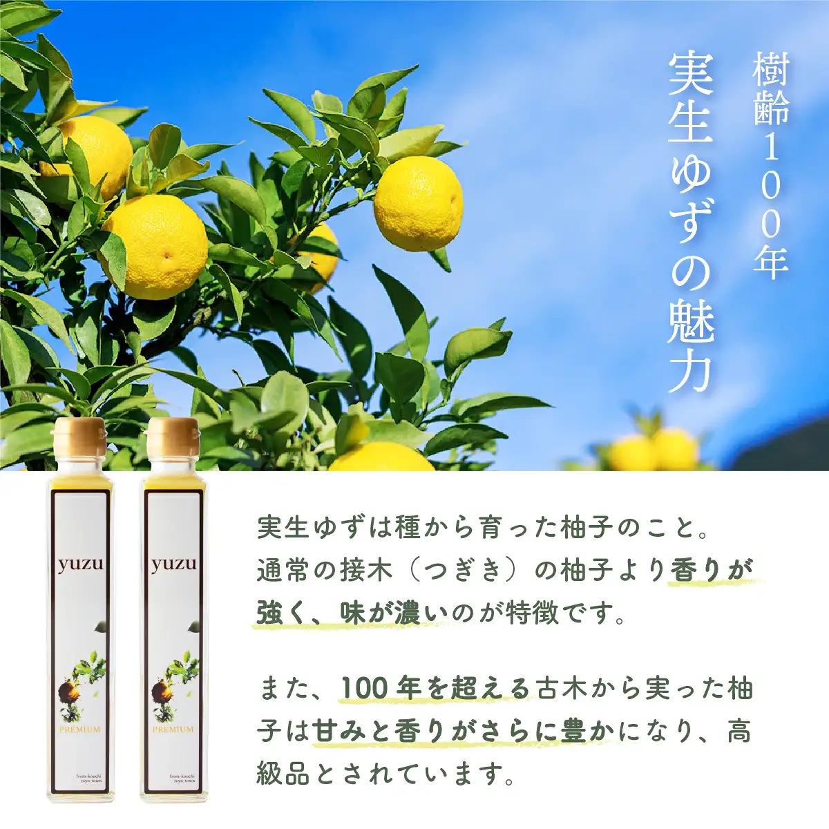 100年ゆず果汁＜200ml×20本セット＞  S223 【株式会社森海家】