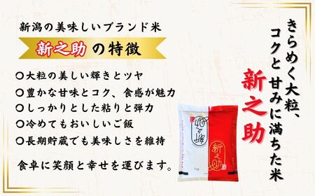 【令和8年産新米予約】新之助 1kg 早川の清流が育んだ美味しいお米 新潟県糸魚川産 2026年 磯貝農場【しんのすけ 米 お米 こめ ご飯 ライス ふるさと納税米 食品 人気 おすすめ お弁当 おにぎり ギフト 新潟県の新しいブランド米 農家直送 1キロ 精米】
