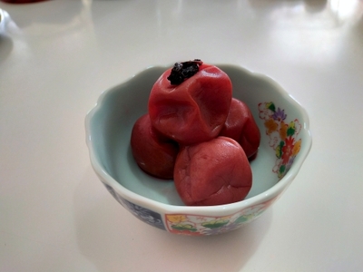 梅干し 計800g うめぼし 梅干し うす塩