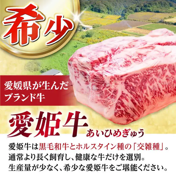 牛肉 赤身 食べ比べ 焼肉用 （モモ・肩ロース・ロース）食べ比べ（3人前）[AGCC026]
