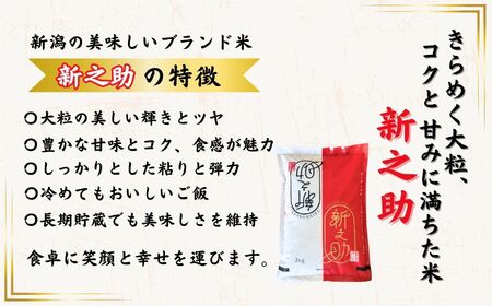 【令和8年産新米予約】新之助 2kg 早川の清流が育んだ美味しいお米 新潟県糸魚川産 2026年 磯貝農場【しんのすけ 米 お米 こめ ご飯 ライス ふるさと納税米 食品 人気 おすすめ お弁当 おにぎり ギフト 新潟県の新しいブランド米 農家直送 2キロ 精米】