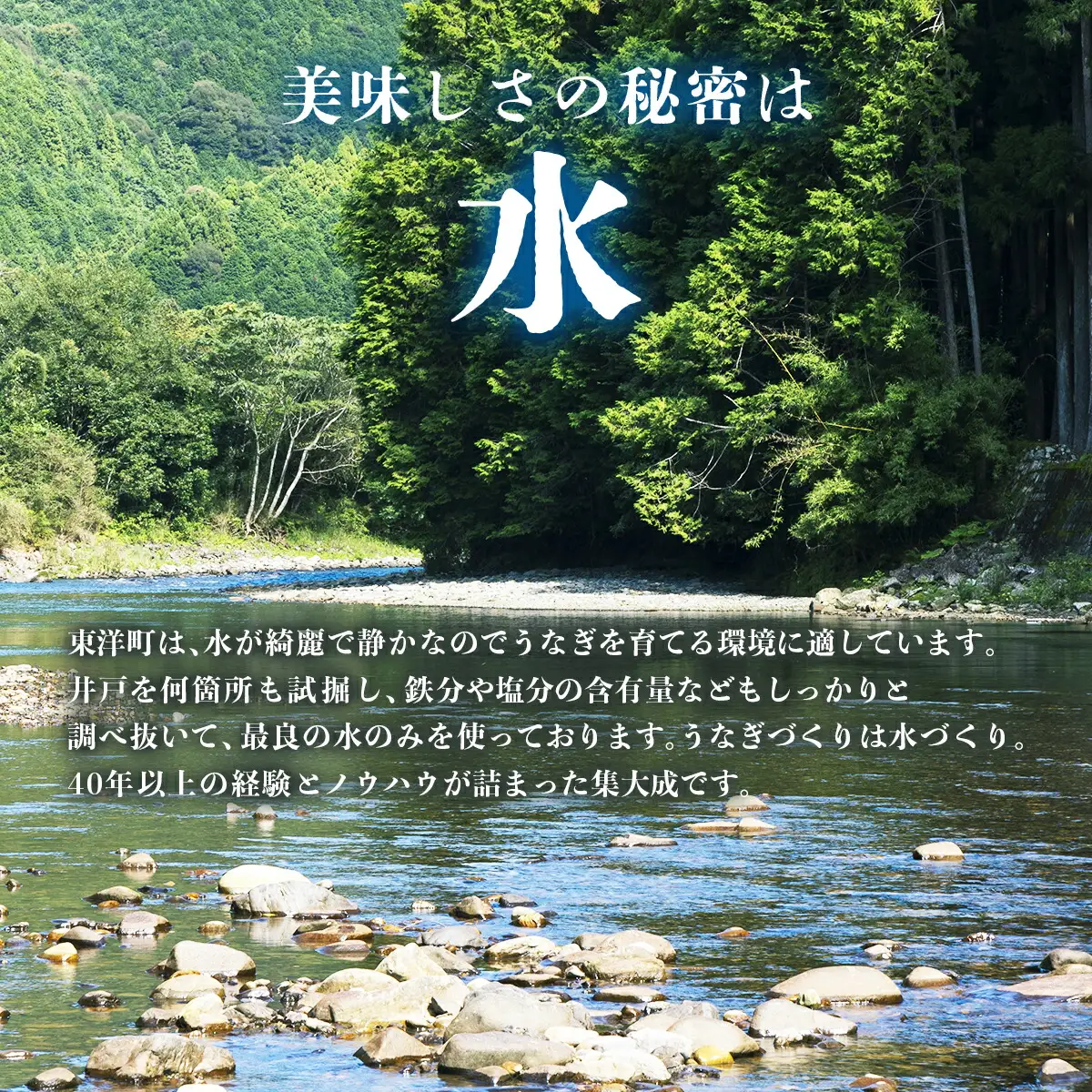 国産うなぎ蒲焼 合計450g（150g×3尾） 【送料無料】U002 [U002] 【東洋町うなぎ株式会社】