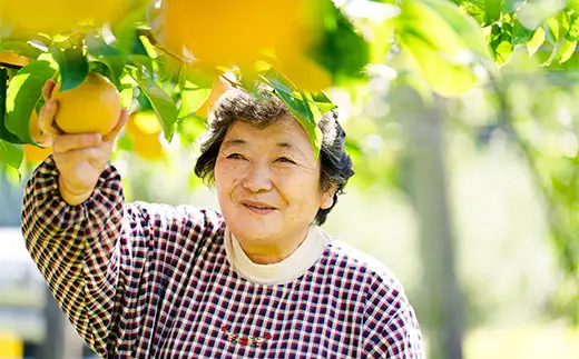 【先行予約】数量限定・期間限定【陽気な母さんの店】Ｒ8年産「旬の梨」又は「季節の梨」（5kg）80P3405【陽気な母さんの店 】
