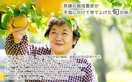 【先行予約】数量限定・期間限定【陽気な母さんの店】 Ｒ8年産「旬の梨とりんご詰合」（5kg）75P3406 【陽気な母さんの店 】