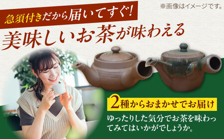 【数量限定】急須で飲むこだわりの亀山茶 （急須付き）/ 茶 ちゃ お茶 おちゃ 緑茶 りょくちゃ 日本茶 茶葉 煎茶 急須 / 亀山市 / 三重茶農業協同組合[AMAG005]
