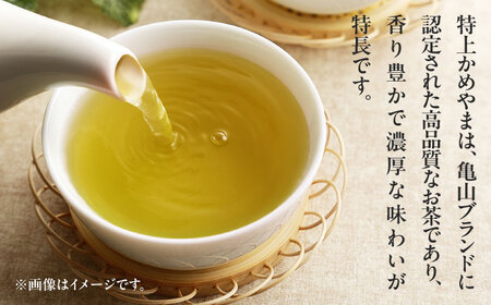 亀山茶ペットボトル500ml×24本/お茶ペットボトルお茶お茶お茶お茶お茶お茶[AMAG013]