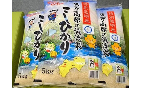 特別栽培米「久万高原清流米」令和6年コシヒカリ(5kg)×3袋セット｜米 お米 白米 ご飯 ごはん 白ご飯 ライス 自然栽培 コシヒカリ こしひかり 食物繊維 米作り 銘柄 贅沢 おすすめ 料理 香り 特別栽培米 減農薬 低化学肥料 品質 美味しい 食生活 健康食品 安心 安全 食卓 食事 ギフト 愛媛 久万高原町