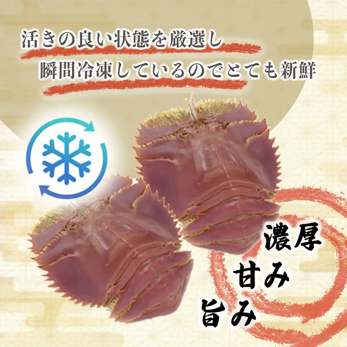 活〆ウチワエビ特大 500g(3尾)