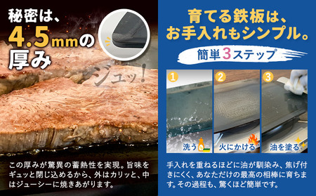 ＼夏のBBQにも最適！／ステーキマイスターズ4.5mm 鉄板 Mサイズ 鉄ハンドル付き《30日以内に出荷予定(土日祝除く)》 キャンプ アウトドア バーベキュー ステーキ BBQ 調理器具 アウトドアプレート 極厚 黒皮 アッシーリス 株式会社ヤマナカ