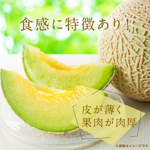 【良品】イバラキング（青肉メロン） 3?4玉入 青肉品種 青肉メロン！ ／ イバラキング 果物 フルーツ 規格外 農家直送 ths004_X1