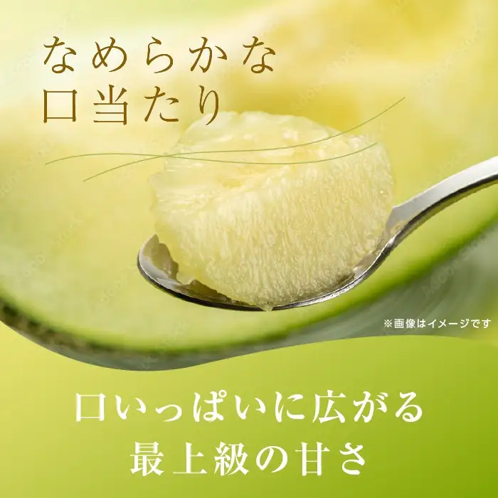 【優品以上】イバラキング（青肉メロン） 2玉入 青肉品種 青肉メロン！ ／ イバラキング 果物 フルーツ ギフト 農家直送 ths003_X1