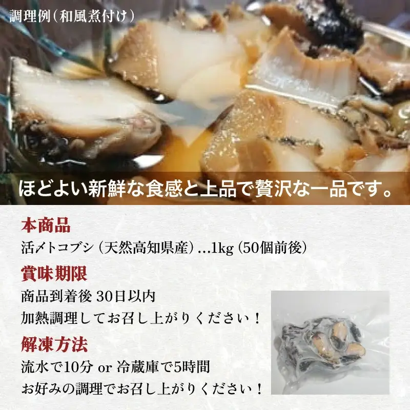 活き〆とこぶし 1kg  S240 【株式会社森海家】