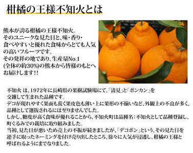 先行予約 訳あり 不知火 7kg【2027年1月中旬-2027年4月下旬発送予定】 しらぬい 果物 フルーツ 規格外 不揃い