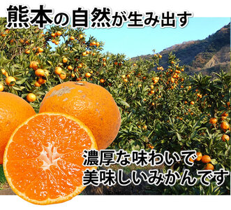 先行予約 みかん 秀品 5kg【2026年10月上旬～2027年1月下旬までに発送予定】柑橘 フルーツ 果物 くだもの 贈答用 ギフト