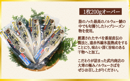 大寒の極み サバ干物 10枚 サバ