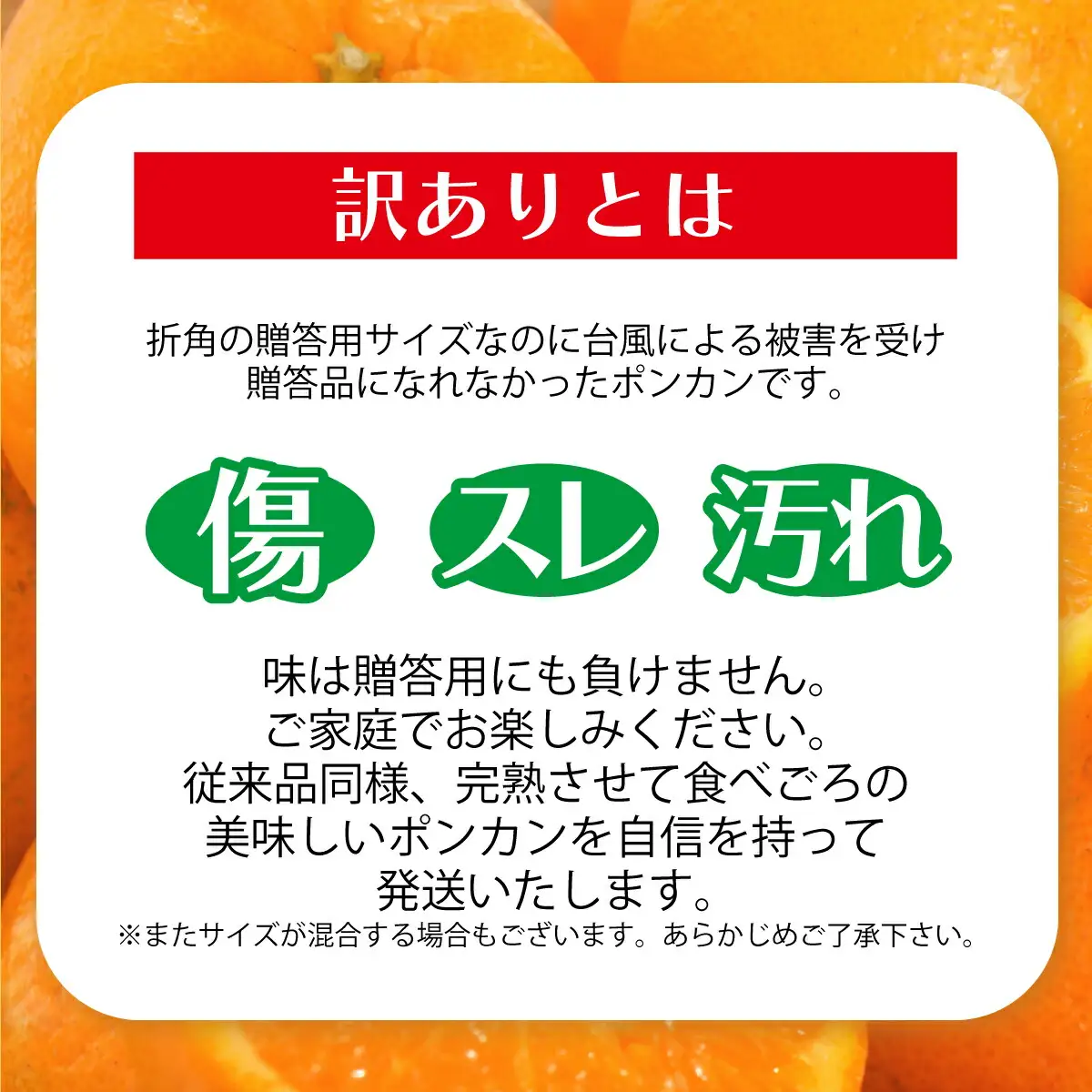 訳アリ 東洋町ポンカン＜5kg＞【合同会社松本家】