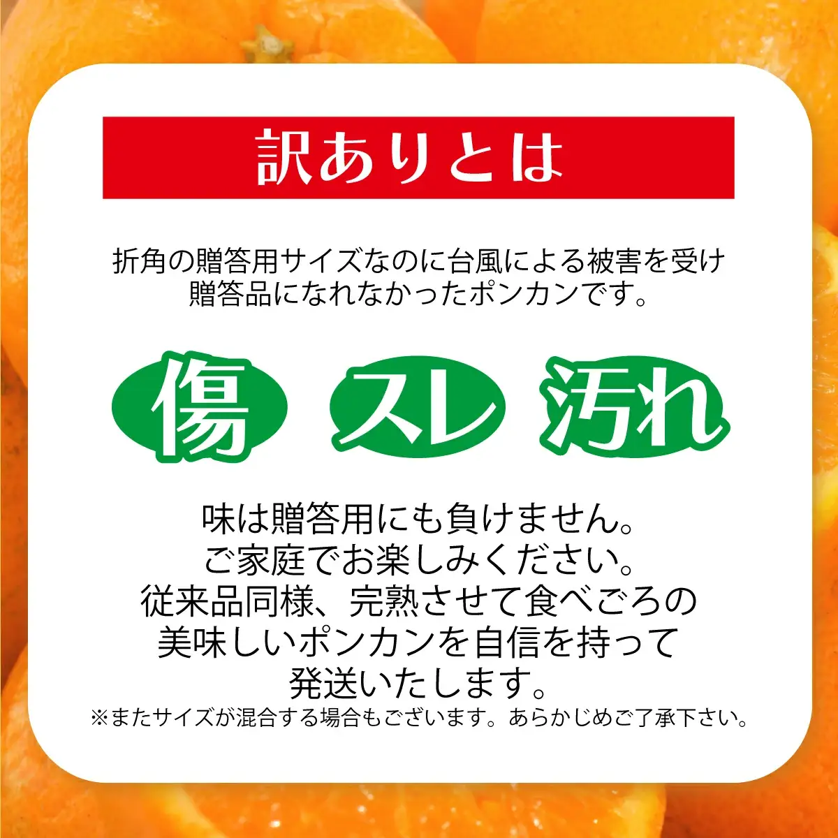 訳アリ 東洋町ポンカン＜10kg＞【合同会社松本家】
