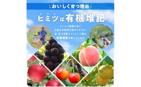 【先行予約：2026年9月中旬以降発送】フルーツ王国余市産「ナイアガラ」2kg【ニトリ観光果樹園】_Y074-0125