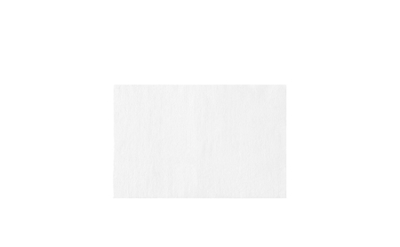 ペット用ウェットティッシュ 80枚入×32P DPWT ペット