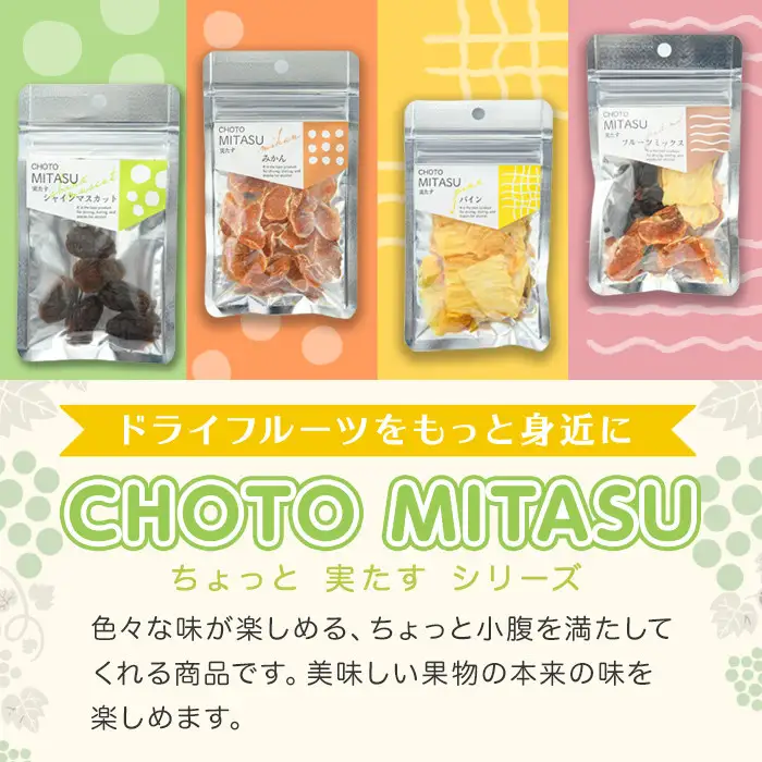 CHOTO MITASU みかんセット(計100g・10g×10袋)ドライフルーツ みかん ミカン 果物 くだもの フルーツ 乾燥 小分け セット【100701700】【宮田ファミリーぶどう園】