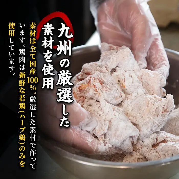 ＜定期便・全3回＞宇佐からあげ「太閤」セット(総量3.75kg・合計1.25kg×3回)国産 から揚げ からあげ 骨なし 簡単 冷凍 惣菜 弁当 おかず おつまみ 揚げるだけ セット【201100400】【太閤】