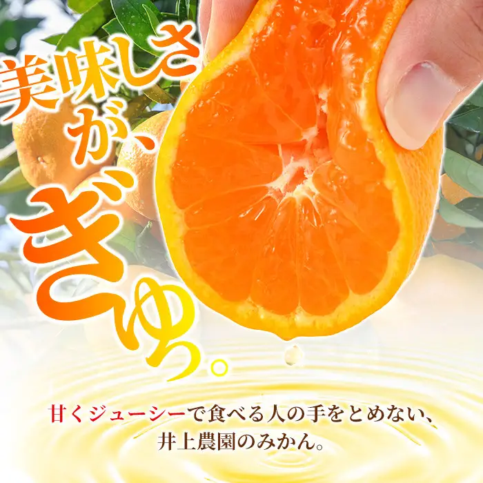 ＜先行予約受付中！12月下旬より順次発送予定＞数量限定 大分県宇佐市産 温州みかん(約10kg)みかん ミカン 蜜柑 柑橘 フルーツ 果物 くだもの 果実 国産【103620600】【井上農園】