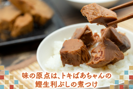惣菜 気仙沼トキばあちゃんのお惣菜 10個 セット 