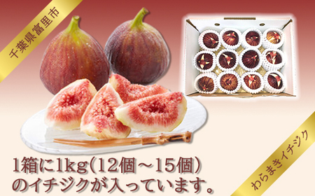 【8月下旬より順次発送】ふるやファーム自慢の絶品「わらまきイチジク 1kg（12～15個）」 TMV001