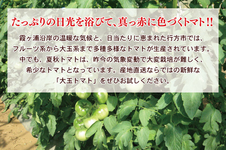 ★2026年9月より発送★ AE-105　【訳あり】JA直送「大玉トマト」約4kg(箱入り)