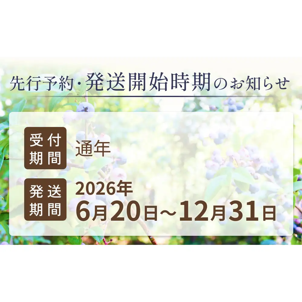 ドライブルーベリー 50g 無添加 摘みたて 砂糖不使用 ノンオイル ドライフルーツ