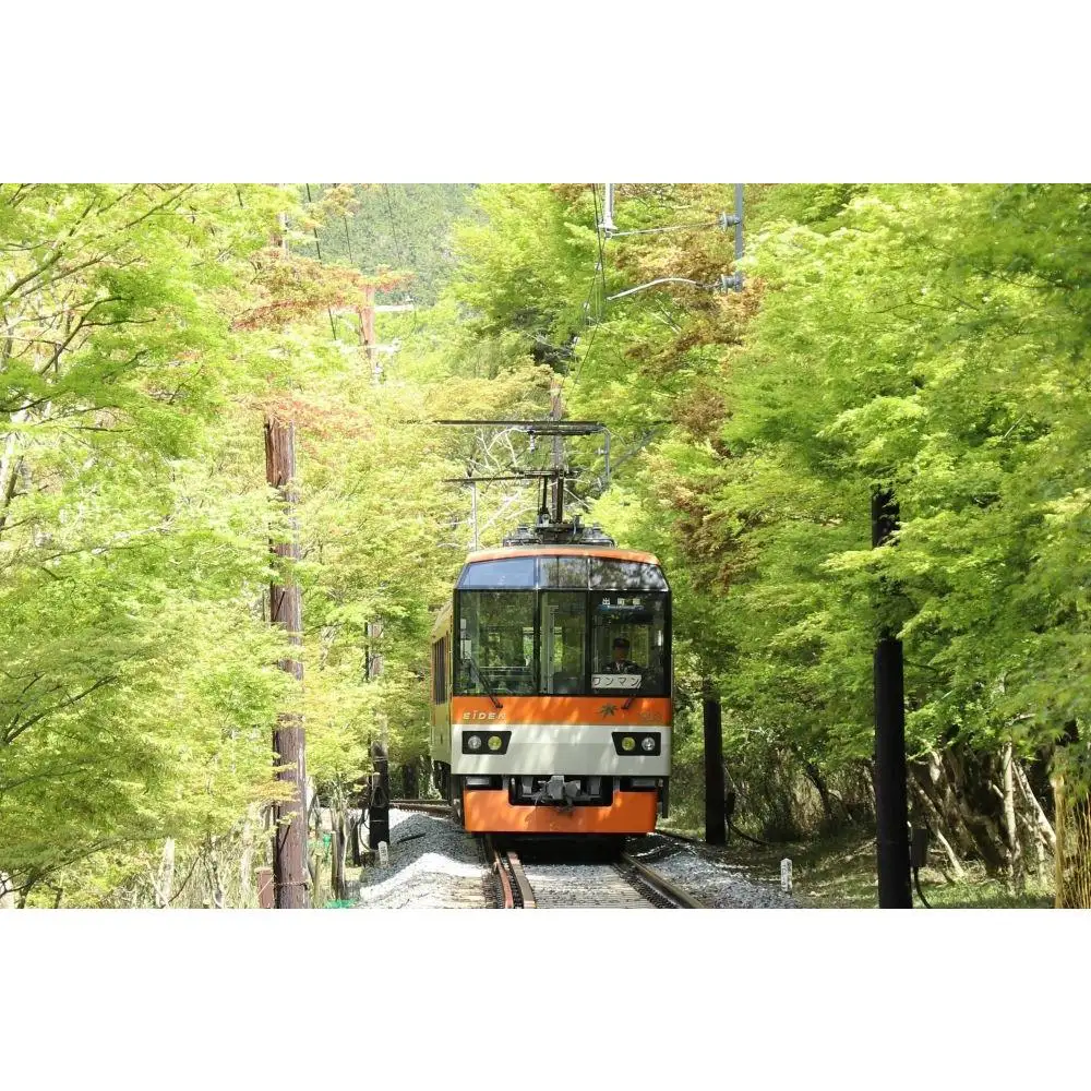 【叡山電車】叡山電車1日乗車券「えぇきっぷ」3枚セット