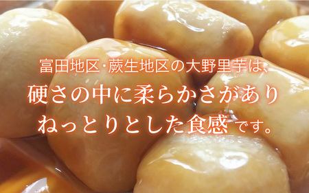 【先行予約】大野の里芋とたんちょう餅の詰め合わせA（里芋3kg+丸餅8個入り×1袋）【2026年11月30日より順次発送】[A-001069]
