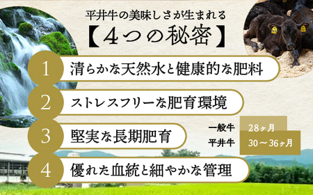 【7営業日以内発送】平井牛 リブロース ステーキ 1枚 300g ステーキ