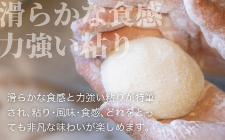 【先行予約】幻のもち米、たんちょう餅H（丸餅20個+のし豆餅8個）【2026年11月30日より順次発送】[A-001076]