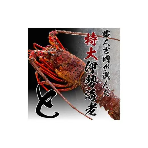 【 からすみ 】 からすみと伊勢海老5匹
