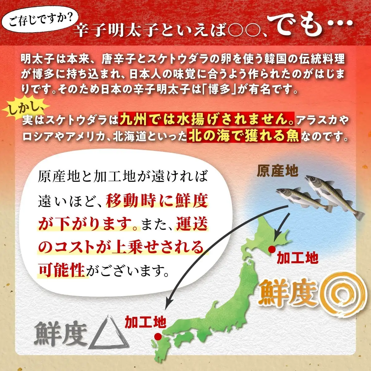 ＼ 訳あり／ 切れ子 【 明太子 1kg】_K009-1175