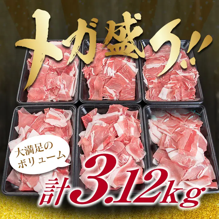豚肉 豚ウデ 豚モモ 切り落とし セット 計3.12kg 国産 ポーク 食品 おかず 切落し スライス肉 万能食材 大容量 焼肉 生姜焼き カレー 肉じゃが 炒め物 お弁当 おつまみ 晩ご飯 うで もも 人気 冷凍 お土産 おすそ分け お取り寄せ 宮崎県 日南市 送料無料_C144-25