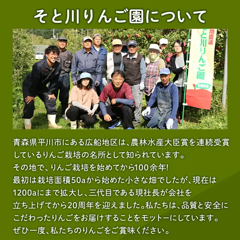 りんご 家庭用 旬のりんご詰め合せ5㎏