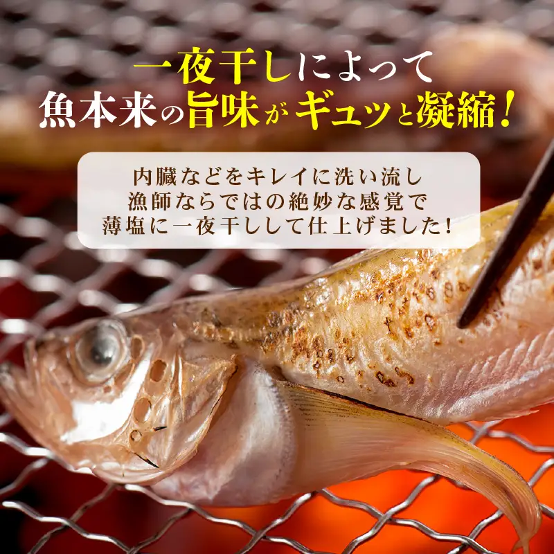 越前産 はたはた 「一夜干しハタハタ詰合わせ（7～9尾入り×5パック）」 [e15-a056]