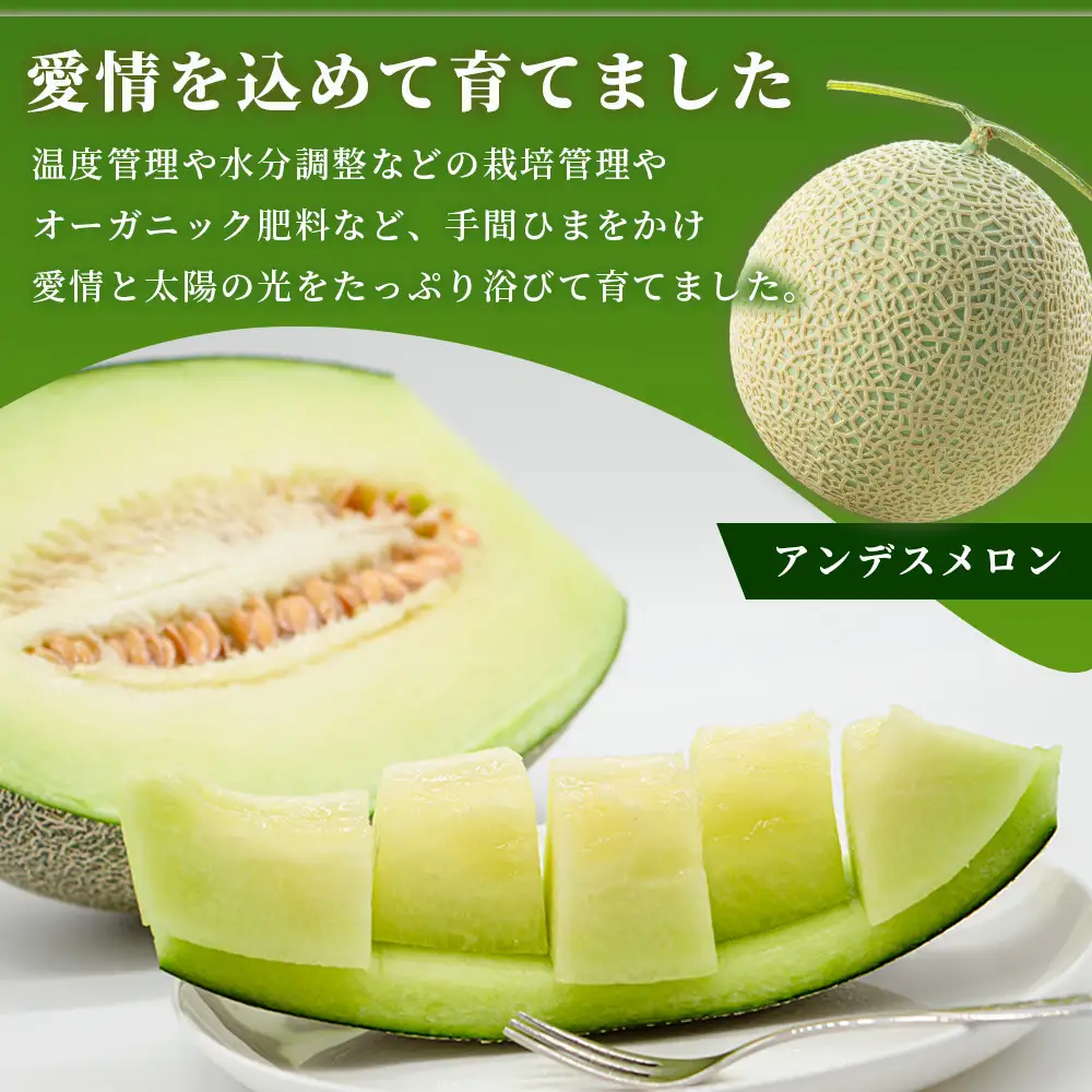 《2027年発送分 先行予約》 アンデスメロン 4玉～6玉 合計約5kg メロン 果物 フルーツ 熊本県 多良木町 108-0501