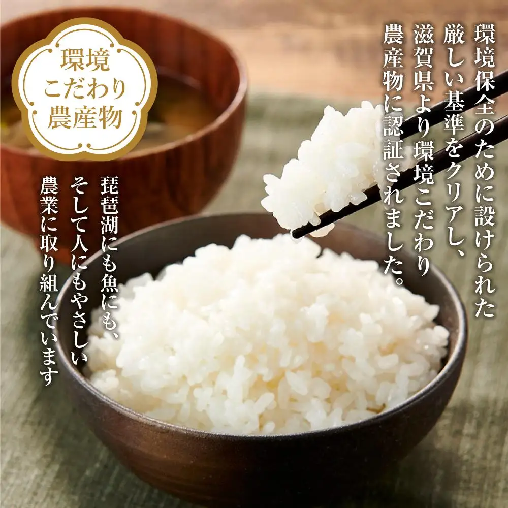 【令和8年度米】米 コシヒカリ 定期便 10kg 3ヶ月 魚のゆりかご水田米【3ヶ月連続】