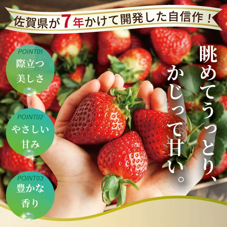 【先行予約】令和9年2月上旬頃出荷開始 いちごさん 2箱セット（600g）ふるかわ農園 苺 いちご 果物 A075-017