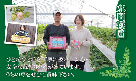【先行予約】R9年1月中旬頃出荷開始 白いちご パールホワイト（2パック）220g×2（合計440g）白いちご B140-035