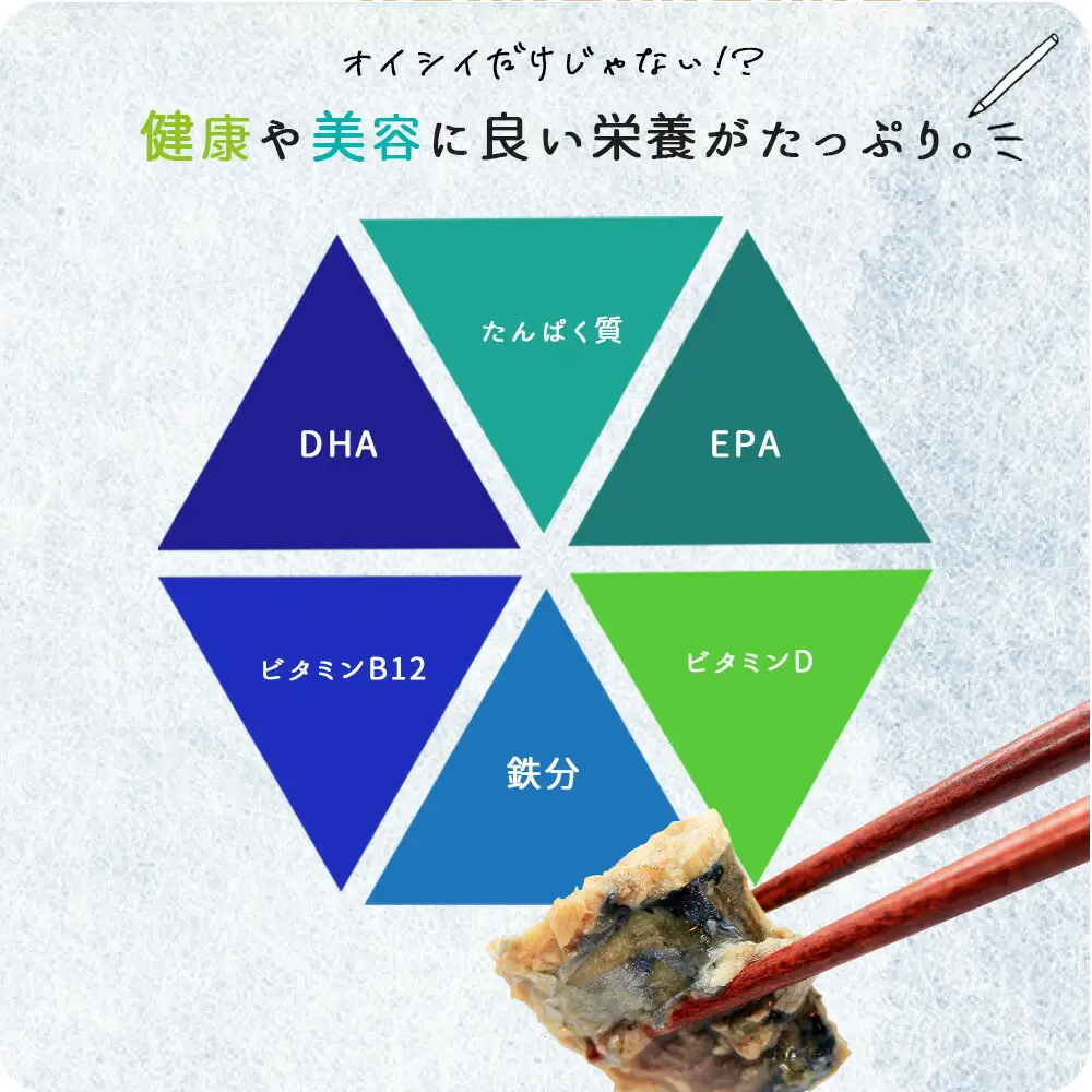 【全3回】大容量！ ご家庭用 塩さばフィレの定期便 / さば サバ 鯖 フィレ 切り身 切身 魚 海鮮 焼き魚 おかず 定期便【tkb353】