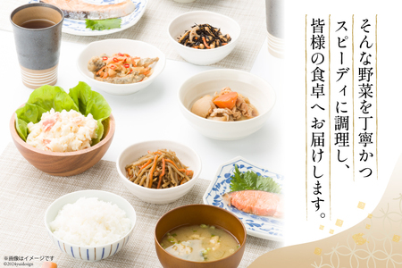 惣菜 10種 計10個 ヤマザキ もう一品