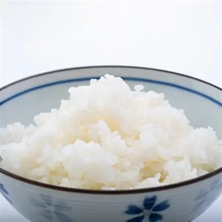 【2026年9月発送】きぬむすめ 白米 10kg_ 精米 米     米 こめ コメ_【1537433】