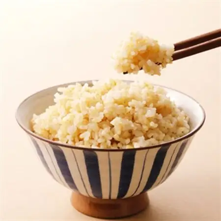 【2026年9月発送】きぬむすめ 玄米 30kg_ 玄米 米 こめ コメ    米 こめ コメ_【1537435】
